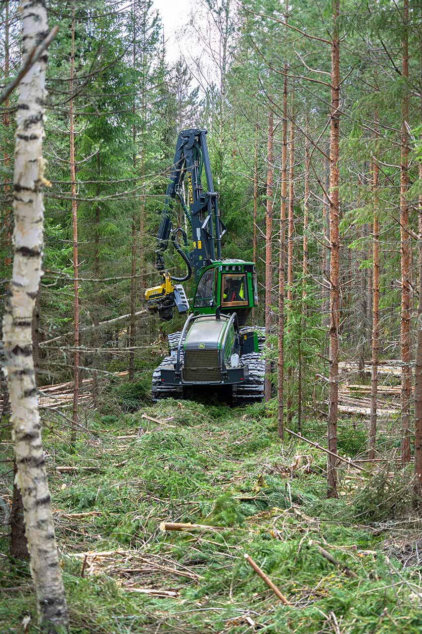 Puunkorjuupalvelut - Metsä-Kiesit Oy