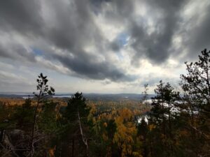 HVO – uusiutuva polttoaine