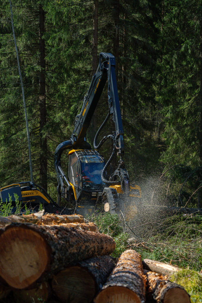 Puunkorjuun kehittäminen - Metsä-Kiesit Oy