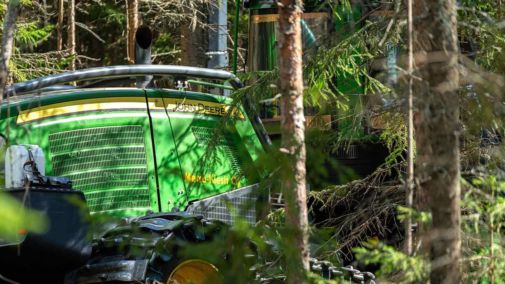 Metsänhoitopalvelut - Metsä-Kiesit